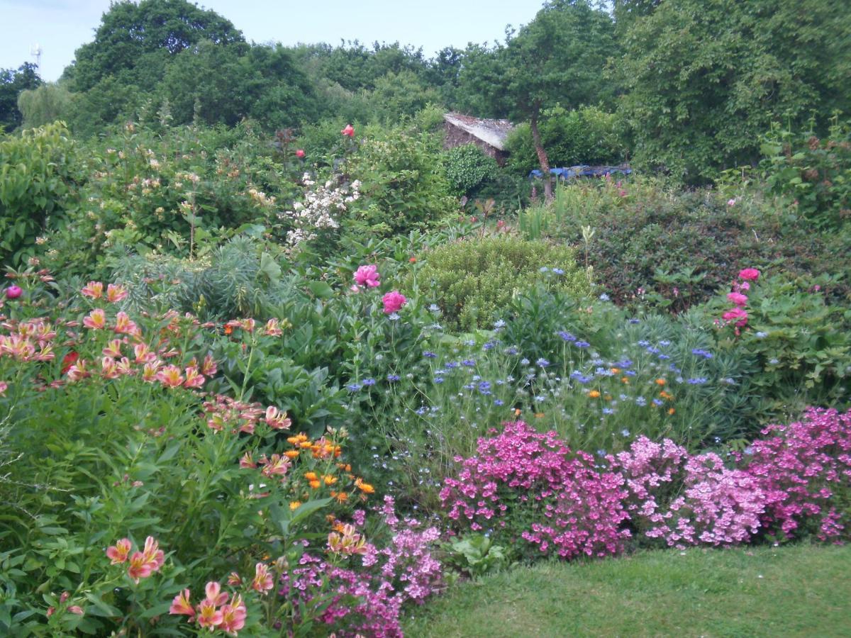 Les Rochettes Bed and Breakfast Erquy Eksteriør billede